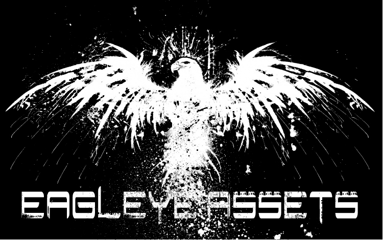 Eagleye Assets