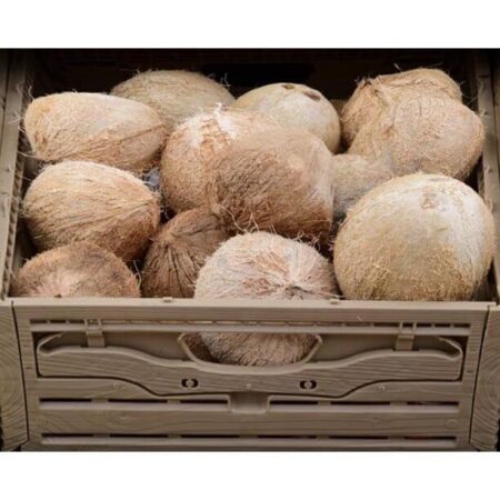 Designer Fruit and Confectionary D-1070