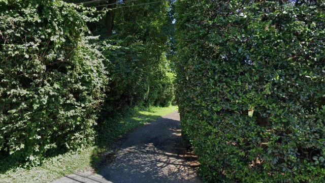 streetview