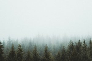 photo-1509316975850-ff9c5deb0cd9