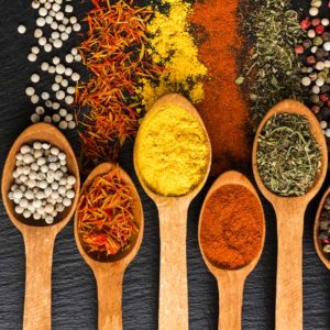 spice-1
