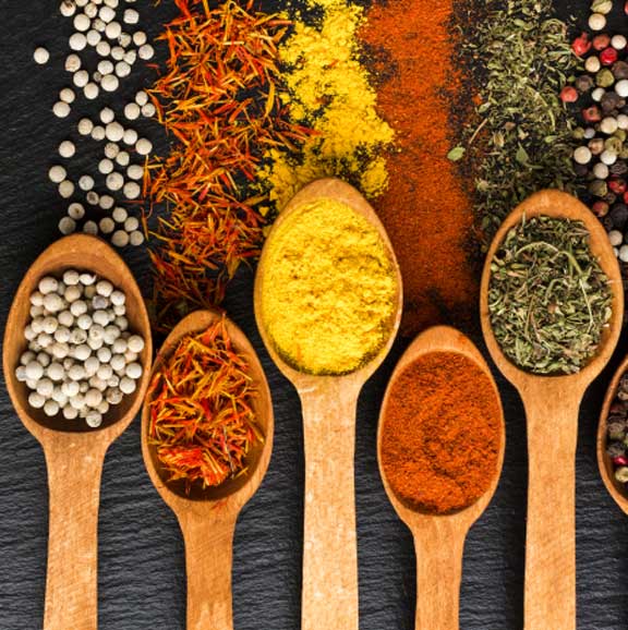 spice-1