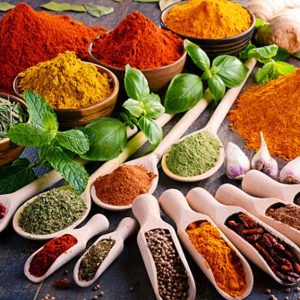 spice-3