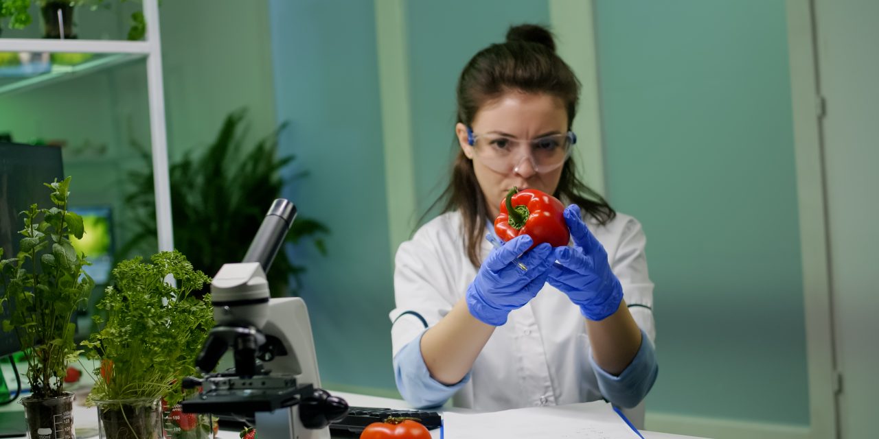 Biologist woman examining pepper writing microbiology medical expertise on notepad for analyzing agriculture. Scientist chemist discovering gmo fruits working in pharmacology laboratory